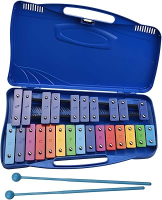 25 Glockenspiel Xylophone notes Percussion Musical Educational Musical with Bag, 2 Maillets for young children.. A world of products at your fingertips — thanks to DIAYTAR Nigeria.
