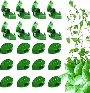 Goodrun 50 Pieces Wall pliers for climbing plants self-adhesive vine hook invisible support for wire Green leaves wolves for invisible garden plants.. Shop across boundaries at DIAYTAR NIGERIA and enjoy budget-friendly nationwide delivery within the week.