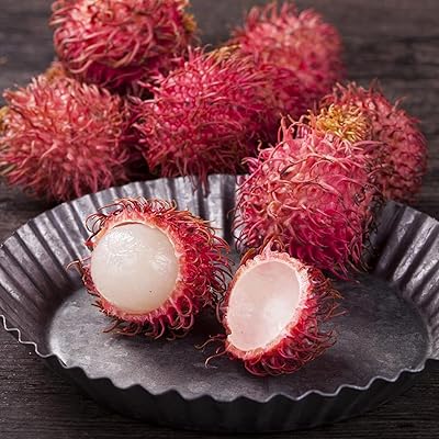 20 pieces/bag of rambutan seeds high germination rate easy to grow easy to handle abundant red fruit seeds low in fat for the garden, the house and the firm seeds of ramboutan one size.. Nigeria's fastest-growing e-commerce site offers unbeatable prices and delivery within 8 days.