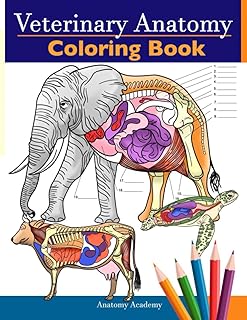 Coloring book on veterinary anatomy: Color exercise notebook on animal physiology for perfect study and relaxation for veterinary students and even adults.. Experience the satisfaction of affordable shopping with DIAYTAR NIGERIA's nationwide 5-8 day delivery.