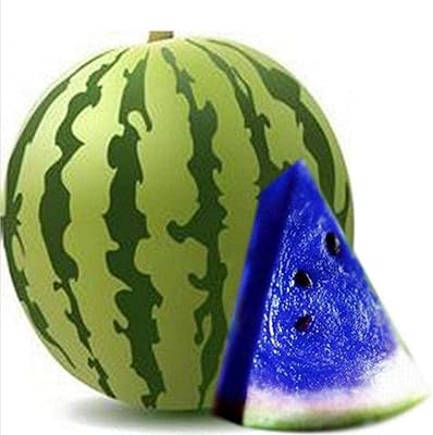 100pcs Multicolored watermelon seeds for the Maison Jardin Farm Fruit Plants Sweet Blue Wild watermeal.. Make shopping fun and stress-free with DIAYTAR Nigeria.