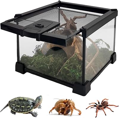 Glass terrarium for small Hamildi 8 "x 6" reptiles Crab breeding box.. Discover a world of choices with DIAYTAR NIGERIA's extensive marketplace and prompt shipping service.