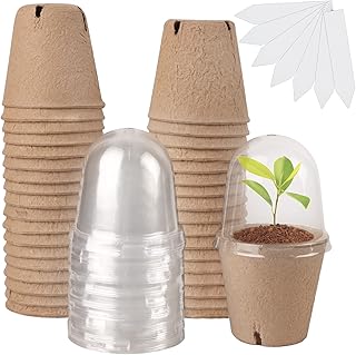 Win Mana Lot of 36 plant pots with dome of humidity, biodegradable seed pots, sowing planting pots with plant labels for interior and exterior garden.. Navigate through thousands of products at pocket-friendly prices with DIAYTAR NIGERIA's easy-to-use platform.