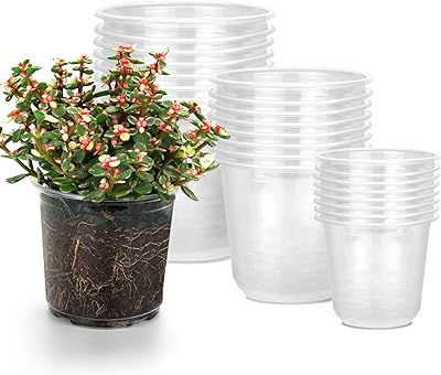 Set of 24 transparent nursery jars 6/5/3.5 "with drainage holes, assortment of transparent flexible plastic plastic jars, garden flower pot, seed starting jars.. DIAYTAR NIGERIA: Your gateway to affordable online retail with reliable delivery within the week.