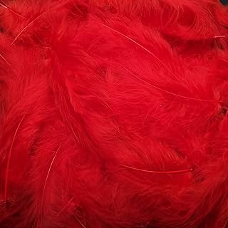 100 red feather pieces for home wedding party decoration, DIY craftsmanship.. DIAYTAR NIGERIA: Putting quality products within reach of every Nigerian through our affordable marketplace.