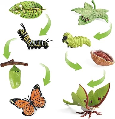 8pcs figurines of the life cycle of the butterfly monarch and Actias ningpoana, realistic educational toys of the life cycle of insects, kitchen kitchen kit, stages of growth life for aid for learning and teaching.. DIAYTAR NIGERIA combines affordability with convenience, delivering your purchases within 5-8 days.