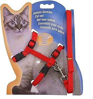 Safety belt and adjustable corset in Nylon Momo Bear for cats and puppies, red.. Shop anytime, receive on time — only with DIAYTAR Nigeria.