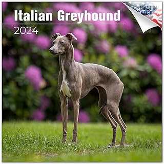 Calendar of Italian liftings 2020 Luxury wall breeds the breed.. DIAYTAR NIGERIA: Redefining online shopping with unbeatable prices and consistent delivery times.