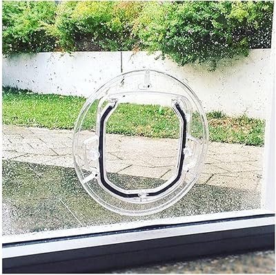 Wooden door for cats, glass door, windbreaker and anti-puff, dog and cat door, transparent door with four-way lock (size: 30 x 30 x 4 cm).. DIAYTAR NIGERIA: Where shopping dreams come true with budget-friendly prices and nationwide shipping.