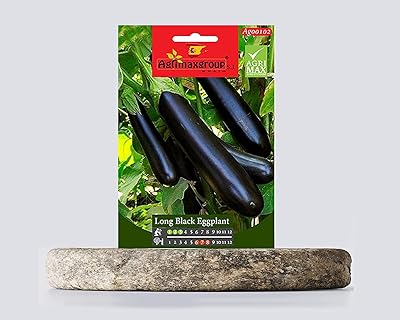 Eggplant seeds (long, black) (made in Spain) by Agrimaxgroup®.. Shop across boundaries at DIAYTAR NIGERIA and enjoy budget-friendly nationwide delivery within the week.