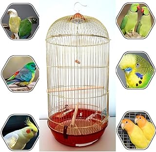 Large golden bird cage, food container, swing and wooden stick suitable for small and medium -sized parrots such as sigrussions, conures, spas, fishermen, lovebirds, carders, canaries, red fish and pinsons.. Shop with confidence at Nigeria's leading affordable e-commerce platform with reliable delivery services.