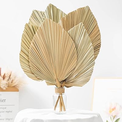 Decor of dried palm leaves 6 natural tropical pieces suspended spears.. DIAYTAR NIGERIA revolutionizes online shopping with competitive prices and reliable 5-8 day delivery.