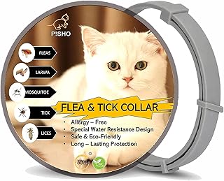 Anti-pudding and anti-life collar for cat treatment and effective protection for more than 60.. Shop with confidence at Nigeria's leading affordable e-commerce platform with reliable delivery services.