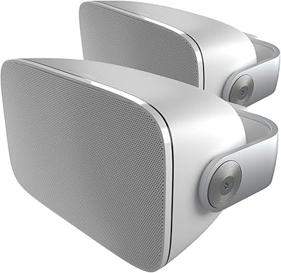 Bowers & Wilkins AM-1 Bidirectional speaker resistant to weather for inner and exterior use-Pair (white).. DIAYTAR NIGERIA: Where shopping meets satisfaction with affordable prices and prompt delivery services.
