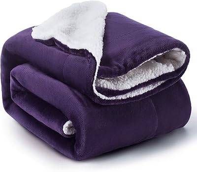 Double layer double layer of pure colored in lamb fleece, thick polar convertible in winter coral for the home and bedding (color: purple, size: 130 cm x 160 cm).. Shop the future with DIAYTAR NIGERIA - thousands of products, unbeatable prices, delivery within a week.