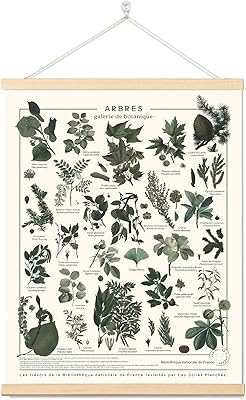 Hanging wall art poster Armindou french nets 16 \ "x22 \".. DIAYTAR NIGERIA combines the largest product selection with affordable prices and reliable delivery.