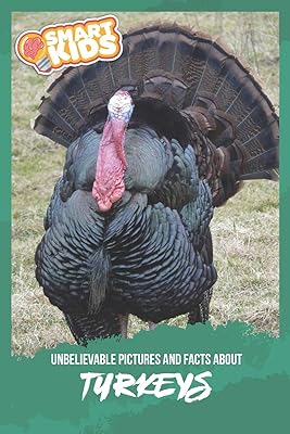 Incredible images and facts on turkey.. Nigeria's most loved e-commerce platform delivers affordable shopping solutions to your doorstep.