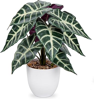 Briful false plant 15 "Artificial plant in realistic pot alocasia amazonica.. Your shopping dreams realized through DIAYTAR NIGERIA's affordable platform with reliable delivery times.