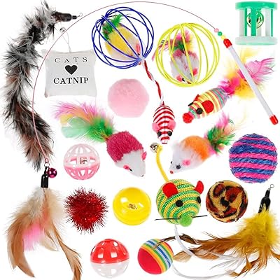 Varied pack of 20 pieces with kitten toys, chewing toys and cat interaction stick, interactive toy in Momo Bear feathers.. Your budget-friendly online marketplace, DIAYTAR NIGERIA delivers a world of products in just 5-8 days.