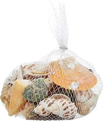 Mamo Bear 200g mixed shells Ocean Beach natural colored shells Aquarium accessory.. Transform your shopping experience with DIAYTAR NIGERIA's vast product selection delivered at unbeatable prices.