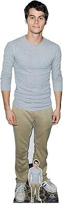 Star Cutouts Dylan O'Brien CS884 T -shirt in gray cardboard real size with mini free support for fans, gifts, birthdays and parties - multicolored.. The best online shopping experience in Nigeria — DIAYTAR delivers it all.