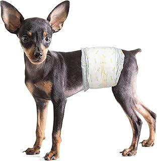 Mamo Bear disposable diapers for male dogs and puppies - Super absorbent incontinence bands (1S -12, 12.00).. DIAYTAR NIGERIA makes online shopping accessible to all with budget-friendly prices and reliable delivery.