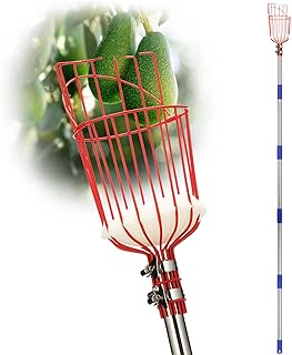 Fruit picker with basket with long telescopic handle 35-65 inches picking apples and oranges.. Experience hassle-free shopping with DIAYTAR NIGERIA's user-friendly platform and prompt delivery service.