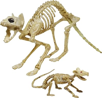 Cat and mouse skeleton for Halloween decoration Skeleton of court skeleton.. DIAYTAR NIGERIA: Your trusted partner for affordable online shopping with reliable delivery timeframes.