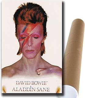 David Bowie Aladdin - 15 x 23 inch wall poster (38 x 58 cm) (380 x 580 mm) Decorative printing Gift.. DIAYTAR NIGERIA brings affordable shopping to your fingertips with reliable delivery in less than 8 days.