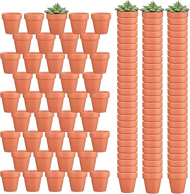 Package of 120 mini terracotta pots of 3 inch planters.. DIAYTAR NIGERIA: Where shopping is affordable, selection is vast, and delivery is always reliable.