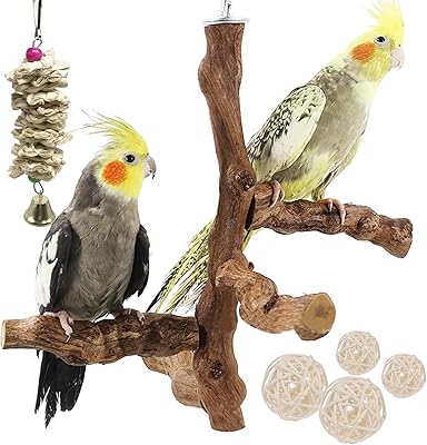 6 natural perch pieces with chewing toys, grape bird support, natural stick for birds, parrots, parakeets, conures, spaches and lovebirds.. Explore the biggest product variety online — only at DIAYTAR Nigeria.