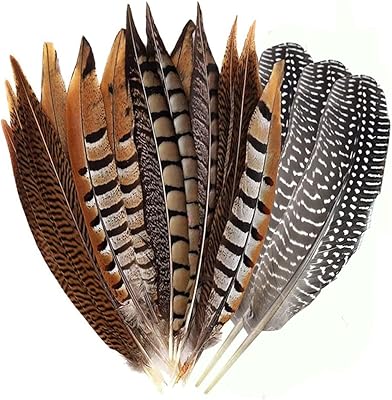 Flying feathers 20 pieces of natural pheasant feathers 4 styles 25-30 cm for house decoration and wedding crafts ff03.. DIAYTAR NIGERIA makes online shopping accessible with our budget-friendly prices and reliable shipping.