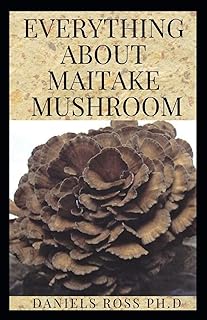 Everything on the mushroom maitake: everything you need.. Fast, easy, and affordable — that’s shopping the DIAYTAR Nigeria way.