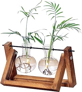 King Bay desk glass bowl with classic wooden support and plant vase (2 lights) for interior desktop accessories.. DIAYTAR NIGERIA: Empowering Nigerians with access to affordable products delivered within 8 days.