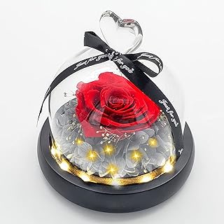 A real pink kept in a glass dome, gift for Valentine's Day, Christmas, Mother's Day, Thanksgiving, a birthday and a birthday with LED lights and wooden base (red mono).. DIAYTAR NIGERIA: Your affordable shopping destination with thousands of products delivered in days.