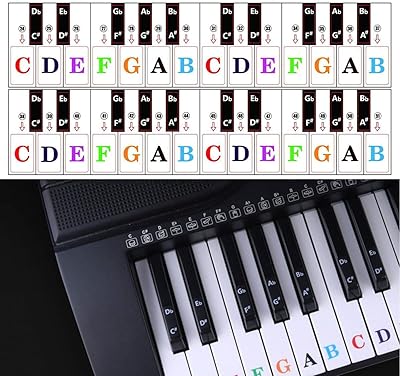 Piano sticker Piano keys stickers for 88-61-54-49-37 Black and white full set.. Great products, lower prices, fast delivery — DIAYTAR Nigeria has it all.