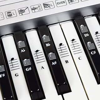 Complete set of musical notes stickers for piano and keyboard for black and white keys; Transparent and removable! Made in the United States.. For everyday items and more, trust DIAYTAR Nigeria.