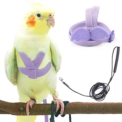 Ecdonal rope bird dressing adjustable for flying trading parrots.. The future of online shopping in Nigeria is here — welcome to DIAYTAR.