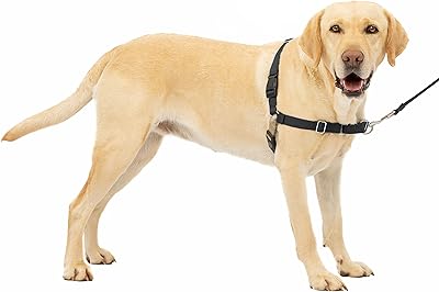 Dog harness Petsafe Easy Walk without black silver black traction (EWH-HC-L-BLK).. DIAYTAR NIGERIA: Your one-stop e-commerce destination with affordable prices and nationwide delivery in 5-8 days.