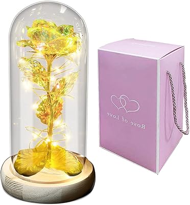 Golden pink in a glass dome with charming LED bright gate band.. Affordable choices, delivered fast — that's the DIAYTAR Nigeria promise.