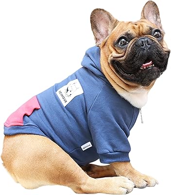 ECCO Boston English Bulldog, French Bulldog and Corgi for dogs - Marine/L.. DIAYTAR NIGERIA: Your gateway to affordable products delivered reliably across Nigeria.