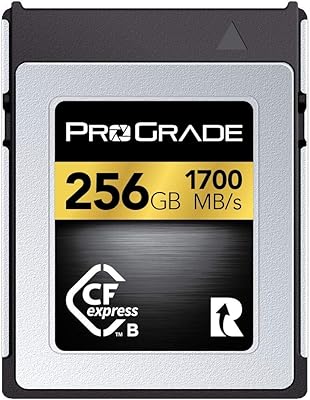 Progrid digital memory card Cf Express Type B, 256 GB (OR).. Experience the ultimate in shopping convenience with DIAYTAR NIGERIA's vast catalog and 5-8 day delivery.