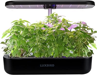 Lux Bird Lux ​​Lux interior herbian planter with 3L LED LID LIGHT LIGHT SYSTEM, GARDEN GERMINATION KIT for domestic gardening, sowing, vegetables, flowers, strawberries.. Embrace a new era of online shopping with DIAYTAR NIGERIA's extensive range and budget-friendly prices.
