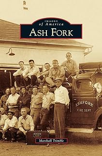 Ash fork.. DIAYTAR NIGERIA: Where affordability and variety meet with convenient delivery within 8 days.