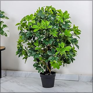 Yatai artificial silver tree of 1 meter, artificial tree in a plastic pot for decoration of the house, the garden, the office - artificial plants - false tree - artificial plants.. Shop smarter with Nigeria's premier e-commerce platform, featuring affordable products delivered nationwide.