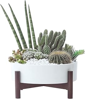Large round ceramic pot for succulents with drainage holes.. Your trusted marketplace, DIAYTAR NIGERIA offers comprehensive selection with budget-friendly delivery.