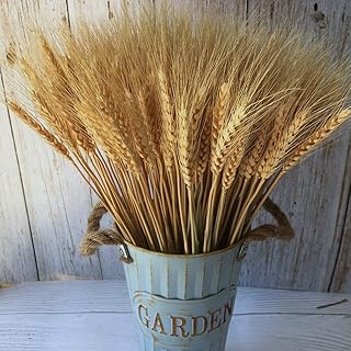 Perfy cup wheat rods, 100 pieces of natural wheat grain flowers for the decoration of the house, the dining table and the wedding party.. Discover endless possibilities with DIAYTAR NIGERIA's vast e-commerce selection and budget-friendly delivery.