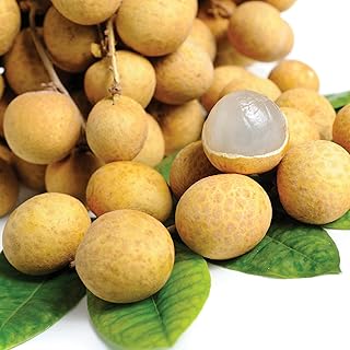 Long fruit package.. DIAYTAR NIGERIA delivers on every promise with our affordable prices and nationwide delivery service.