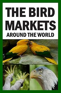 Bird markets in the world.. DIAYTAR NIGERIA: Where shopping dreams become reality with affordable prices and prompt shipping.