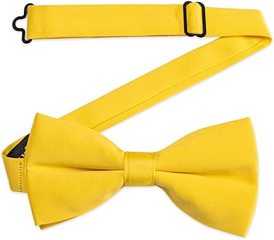 Pre-rissted satin tie Adjustable tie, united for men and boys.. Shop from our extensive catalog at DIAYTAR NIGERIA and enjoy doorstep delivery in just 5-8 days.